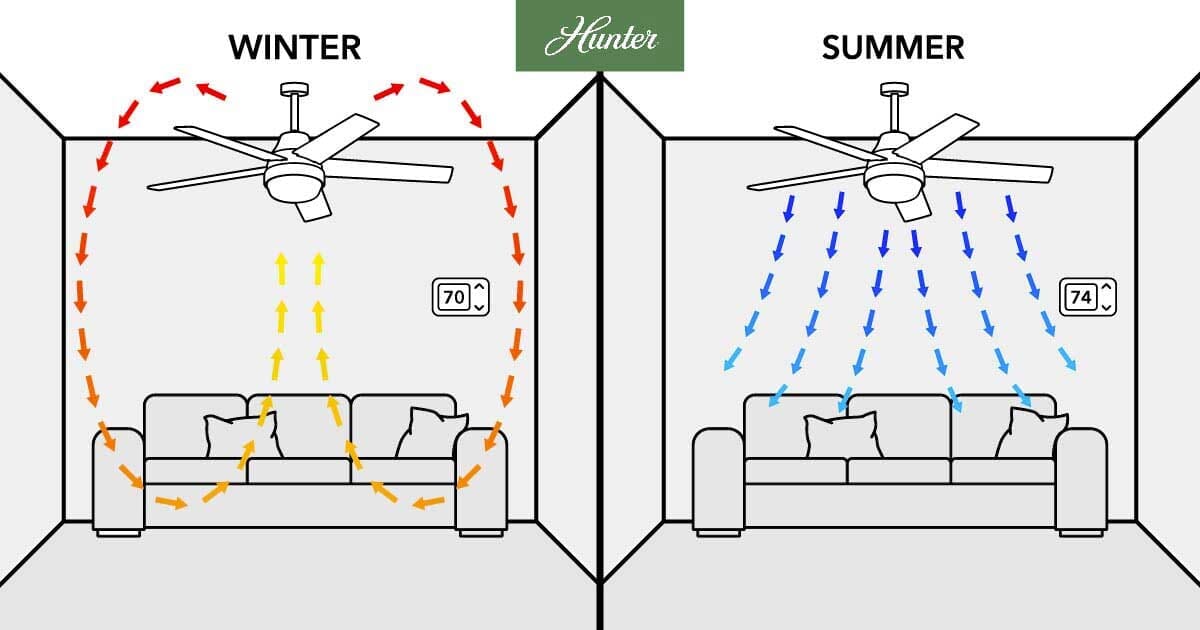 Distribucción por habitaciones
